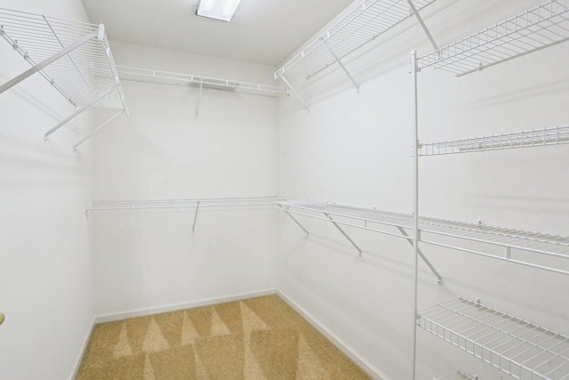 walk in closet with light colored carpet