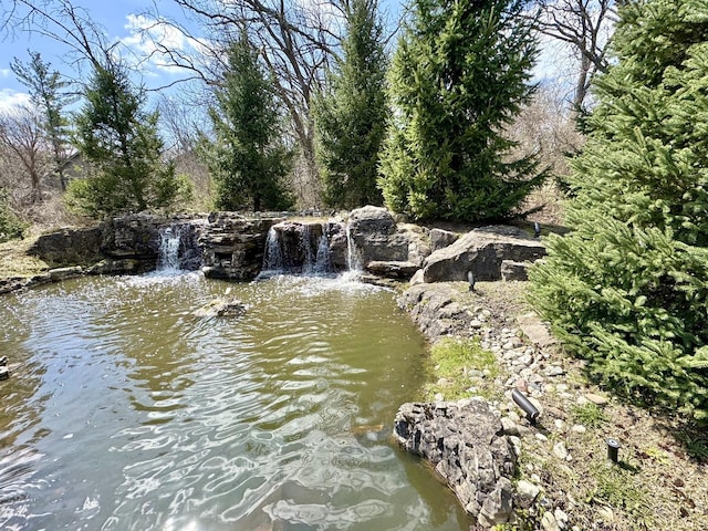 12400 S 88th Ave, Palos Park, IL 60464 - water view