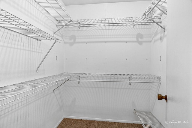 1610 Chippewa Trl, Wheeling, IL 60090 - spacious closet featuring carpet floors