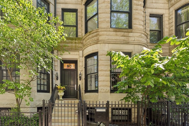 69 E Cedar St, Chicago, IL 60611 - view of property entrance