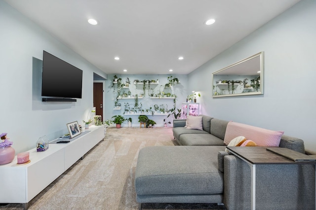 1205 E Hintz Rd Unit 212, Arlington Heights, IL 60004 - living area featuring recessed lighting and carpet flooring
