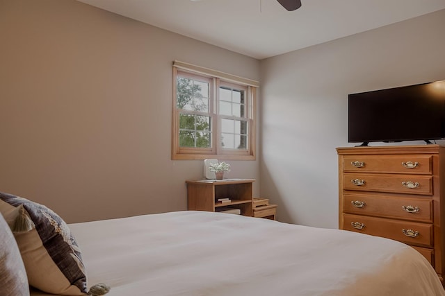 18132 Crystal Ln, Lansing, IL 60438 - bedroom with ceiling fan