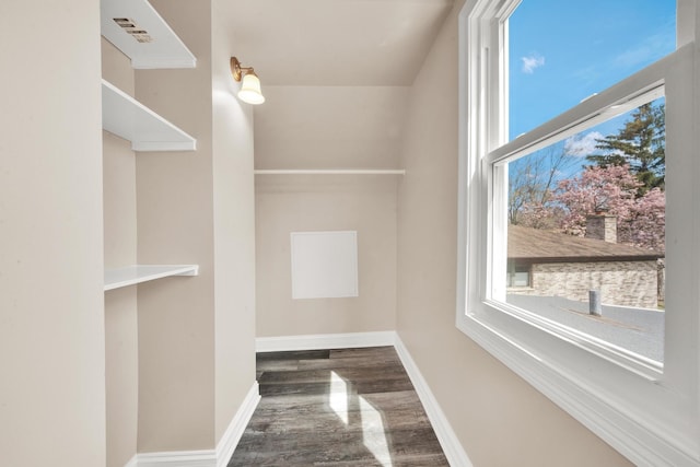 walk in closet featuring wood finished floors
