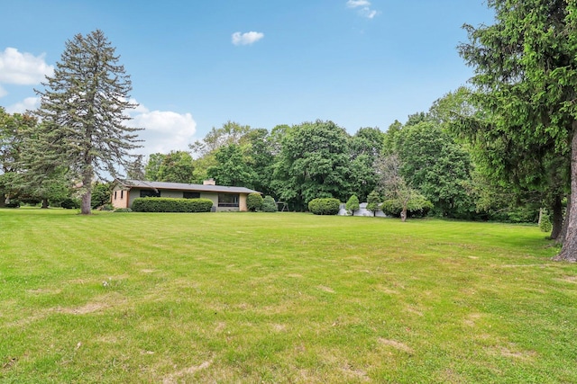 32225 N Pine Ave, Grayslake, IL 60030 - view of green lawn