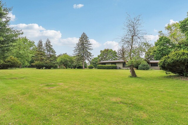 32225 N Pine Ave, Grayslake, IL 60030 - view of grassy yard