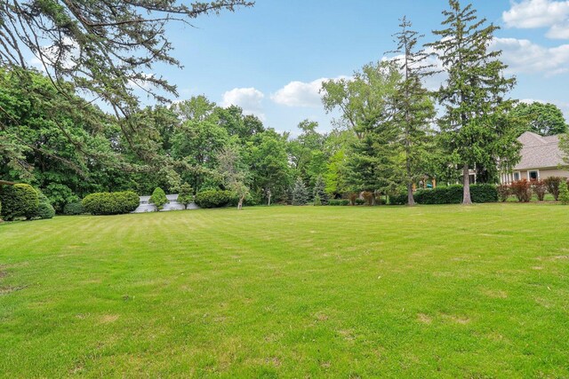32225 N Pine Ave, Grayslake, IL 60030 - view of grassy yard