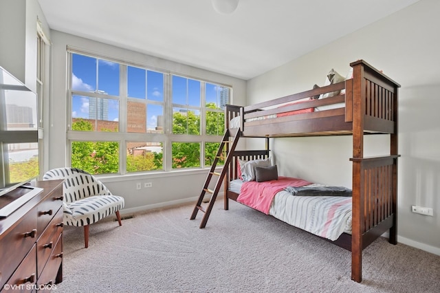 51 E 23rd St Unit 0, Chicago, IL 60616 - bedroom with carpet and baseboards