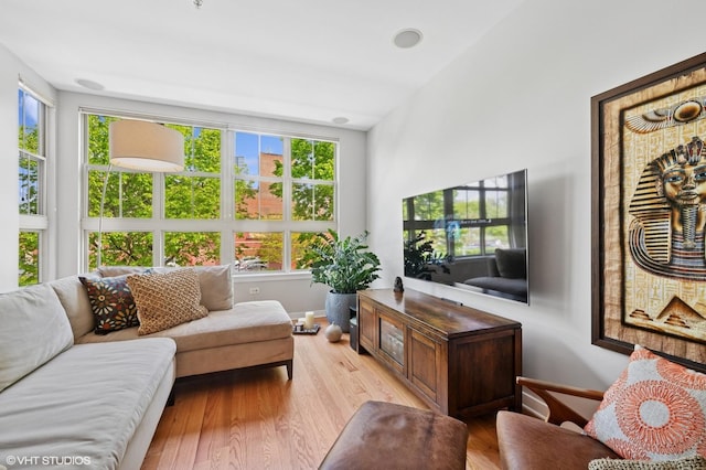 51 E 23rd St Unit 0, Chicago, IL 60616 - living area featuring wood finished floors and baseboards