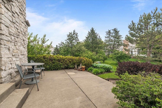 165 S Danbury Ct, Lake Forest, IL 60045 - view of patio / terrace