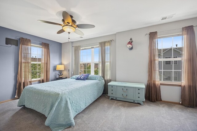 596 N Triumph Ct, Hainesville, IL 60073 - carpeted bedroom featuring multiple windows, a ceiling fan, and baseboards