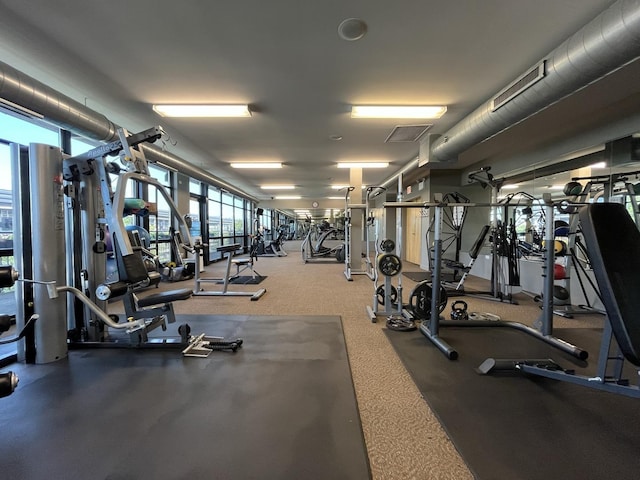 1150 W 15th St Unit 401, Chicago, IL 60608 - view of workout area