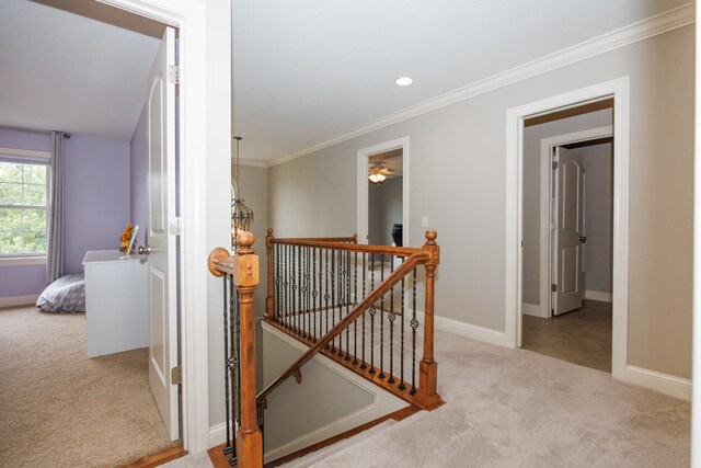 2814 Stevenson Dr, Bloomington, IL 61704 - photo 27
