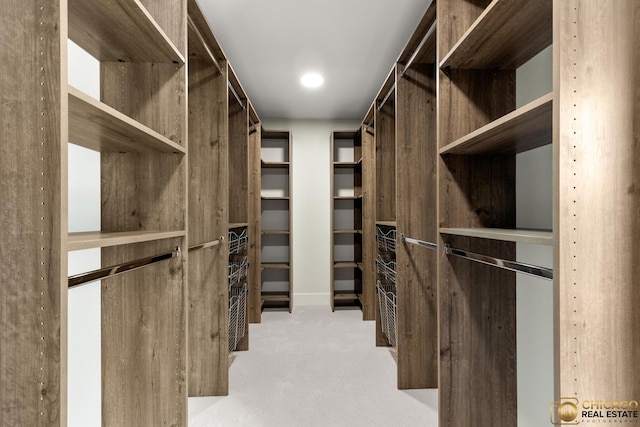 23653 W Ewing Dr, Plainfield, IL 60586 - walk in closet with carpet flooring