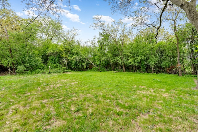 666 Barberry Rd, Highland Park, IL 60035 - view of grassy yard