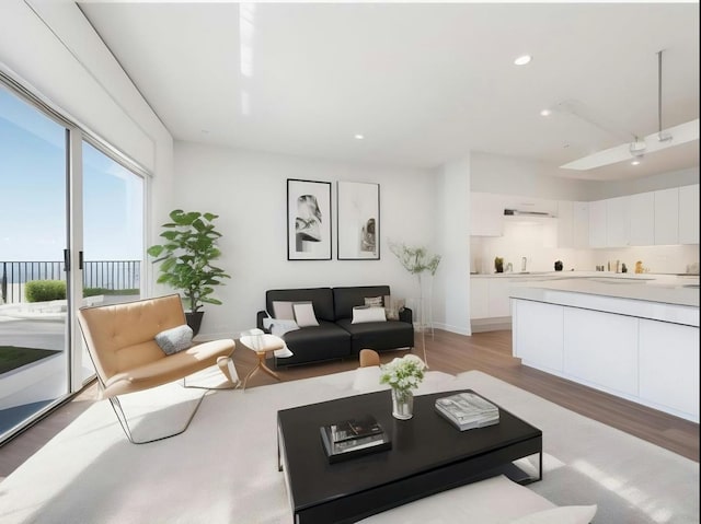1720 Maple Ave Unit 670, Evanston, IL 60201 - living room featuring light wood-style flooring, baseboards, and recessed lighting