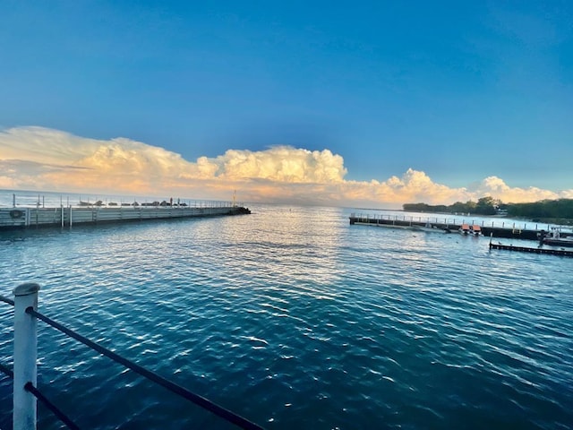 1720 Maple Ave Unit 670, Evanston, IL 60201 - water view featuring a boat dock