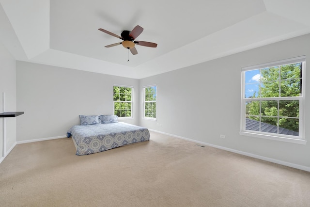 26809 Ashgate Xing, Plainfield, IL 60585 - bedroom with a tray ceiling, carpet flooring, baseboards, and multiple windows
