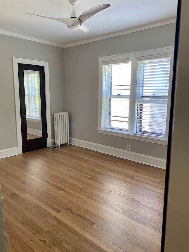 806 Forest Ave Unit 3, Evanston, IL 60202 - empty room featuring radiator, healthy amount of natural light, crown molding, light wood finished floors, and a ceiling fan