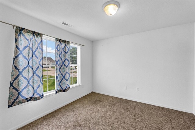 709 Bardeen Ln, Champaign, IL 61822 - photo 22