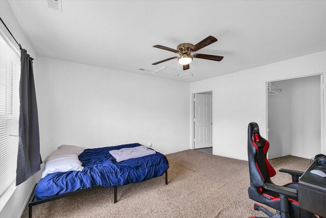 709 Bardeen Ln, Champaign, IL 61822 - photo 25