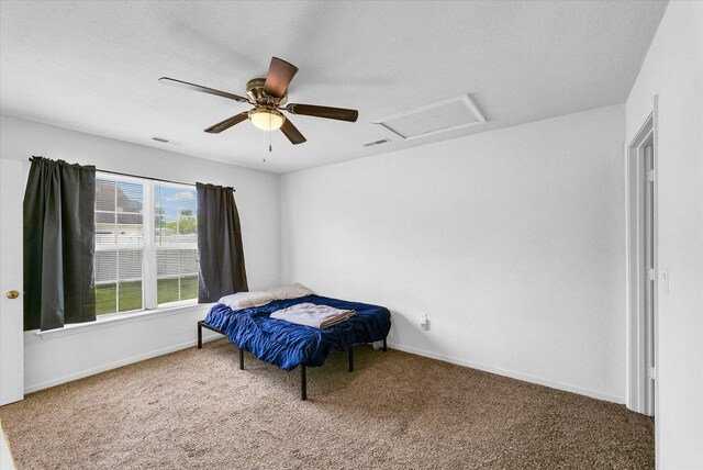 709 Bardeen Ln, Champaign, IL 61822 - photo 26