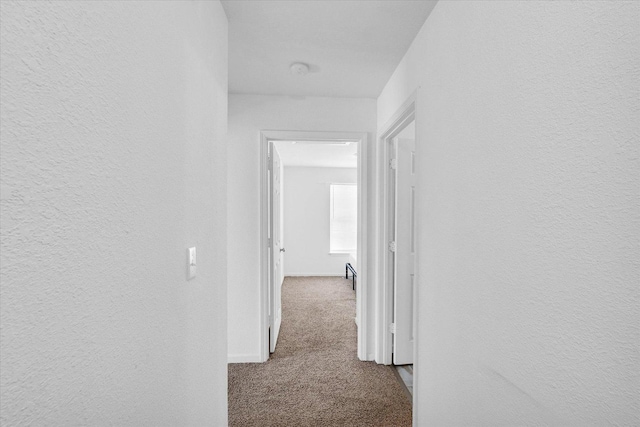 709 Bardeen Ln, Champaign, IL 61822 - photo 28