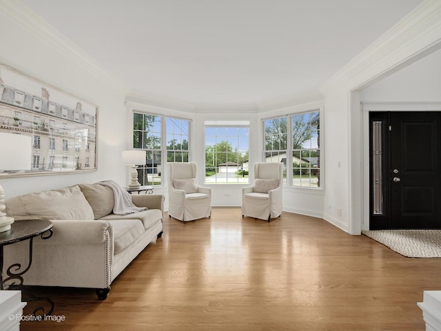 551 W 3rd St, Elmhurst, IL 60126 - living area featuring ornamental molding, plenty of natural light, wood finished floors, and baseboards