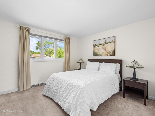 7235 Kiowa Ln, Palos Heights, IL 60463 - bedroom with carpet and baseboards