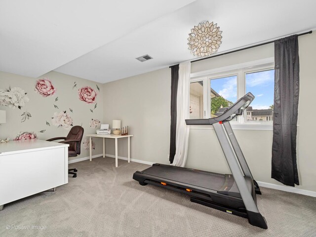 7235 Kiowa Ln, Palos Heights, IL 60463 - exercise area with carpet floors and baseboards