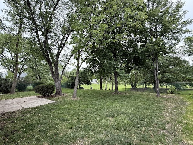 217 Davis Ln, Bolingbrook, IL 60440 - view of yard