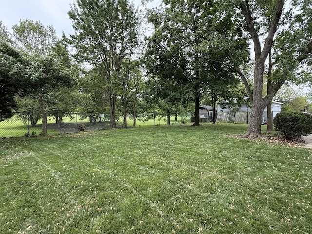 217 Davis Ln, Bolingbrook, IL 60440 - view of yard