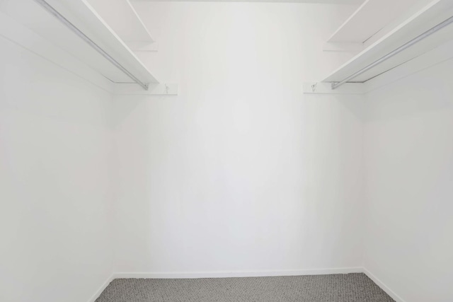 405 N Wabash Ave Unit 1002, Chicago, IL 60611 - walk in closet with carpet floors
