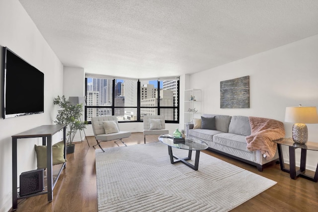 405 N Wabash Ave Unit 1002, Chicago, IL 60611 - living area with a textured ceiling, wood finished floors, and a city view