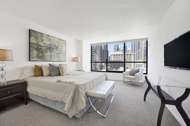 405 N Wabash Ave Unit 1002, Chicago, IL 60611 - bedroom featuring carpet floors
