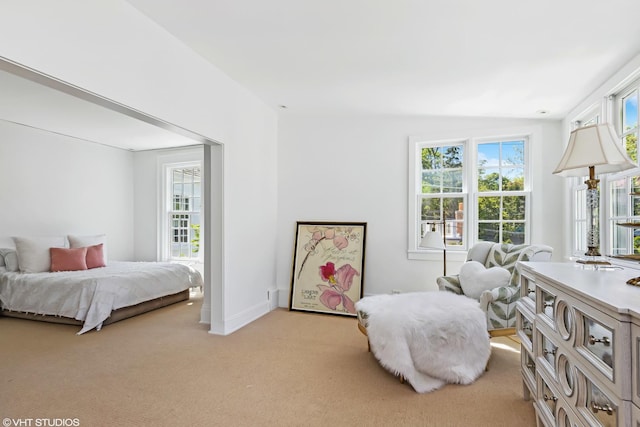 550 Rosemary Rd, Lake Forest, IL 60045 - bedroom featuring light colored carpet and baseboards