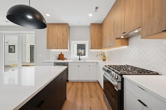 944 Beloit Ave Unit 2, Forest Park, IL 60130 - kitchen featuring stainless steel appliances, under cabinet range hood, a sink, light countertops, and light wood-style floors