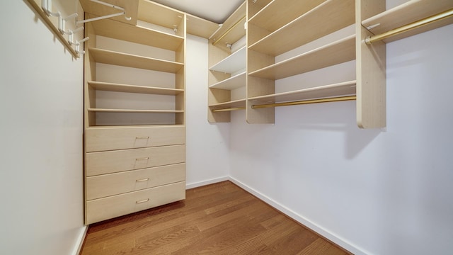 321 E Chamberlin St, Dixon, IL 61021 - walk in closet featuring wood finished floors