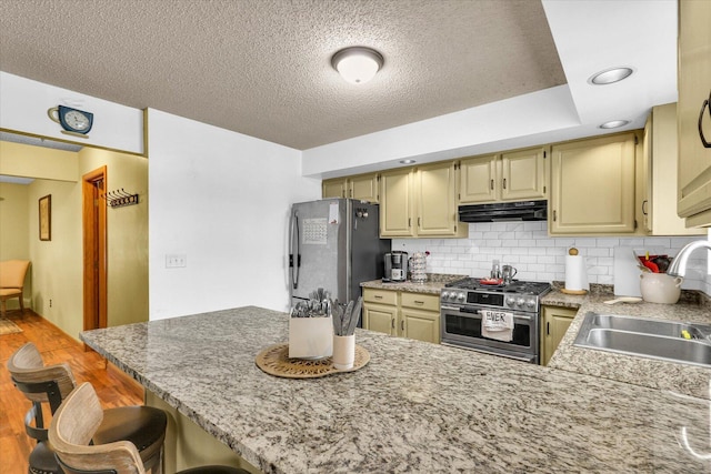705 Northridge Dr, Mahomet, IL 61853 - kitchen featuring appliances with stainless steel finishes, under cabinet range hood, a textured ceiling, a peninsula, and decorative backsplash