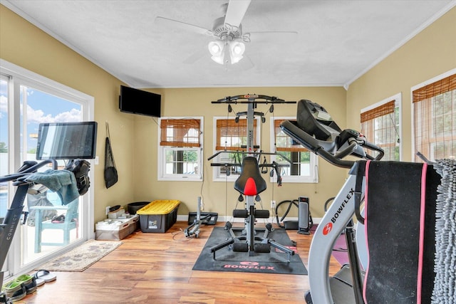 705 Northridge Dr, Mahomet, IL 61853 - exercise room with wood finished floors, ornamental molding, and ceiling fan