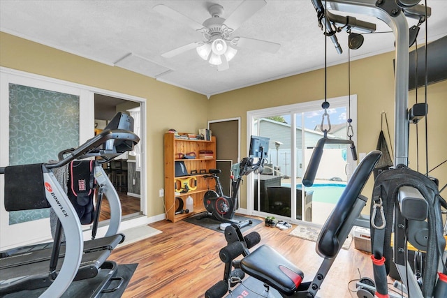 705 Northridge Dr, Mahomet, IL 61853 - workout room featuring wood finished floors and a ceiling fan