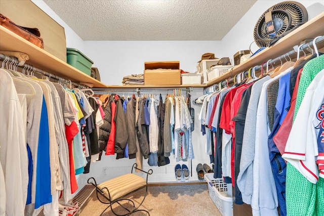 705 Northridge Dr, Mahomet, IL 61853 - walk in closet with carpet flooring