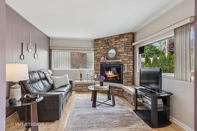 1140 Catalpa Ln, Naperville, IL 60540 - living room featuring a stone fireplace and light wood finished floors