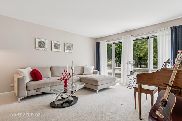 1140 Catalpa Ln, Naperville, IL 60540 - view of carpeted living area