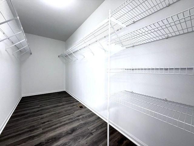4078 Boulder Ct, Aurora, IL 60504 - walk in closet with wood finished floors