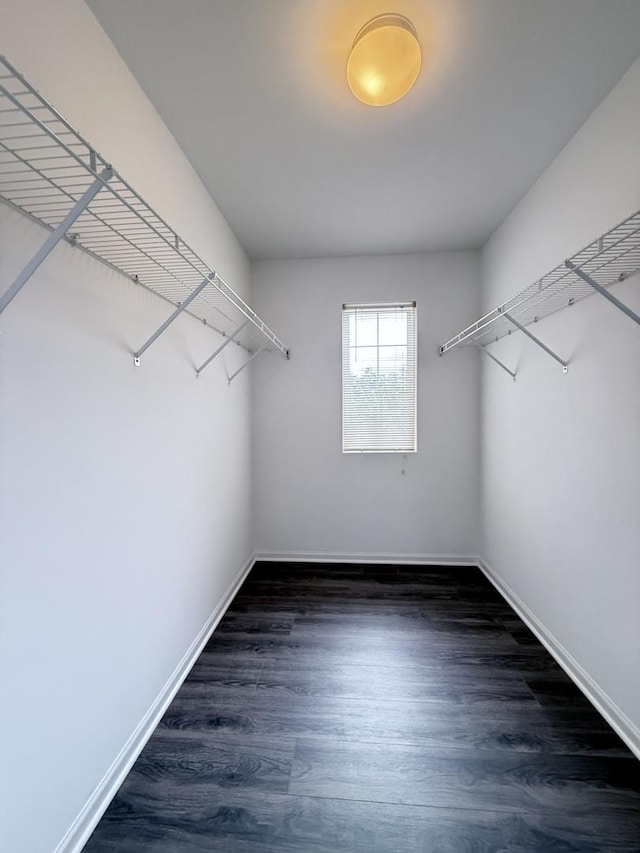 4078 Boulder Ct, Aurora, IL 60504 - spacious closet with wood finished floors