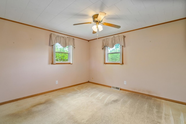 175 May St, Manhattan, IL 60442 - photo 11