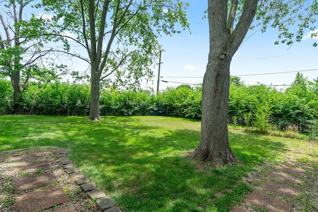 175 May St, Manhattan, IL 60442 - photo 39