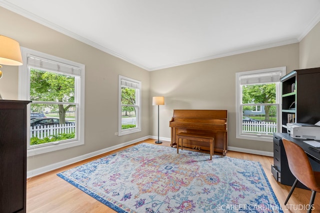 203 E Lincoln Ave, Wheaton, IL 60187 - office featuring crown molding, light wood-type flooring, and baseboards
