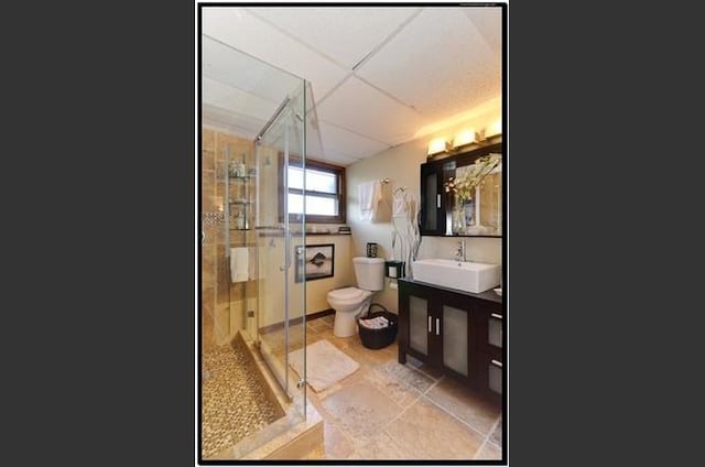 510 W Millns Ct, Addison, IL 60101 - full bathroom with toilet, vanity, a shower stall, and a paneled ceiling