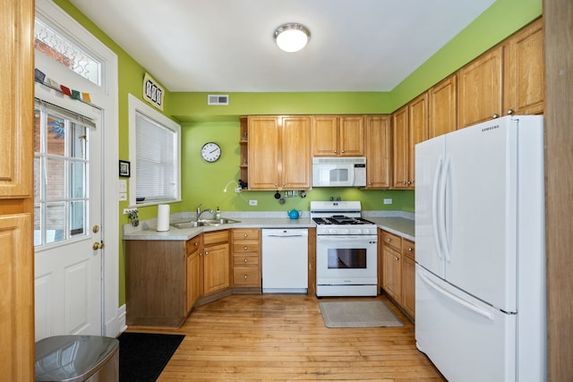 3300 Grove Ave Unit 3S, Berwyn, IL 60402 - kitchen with white appliances, a sink, light wood finished floors, light countertops, and open shelves